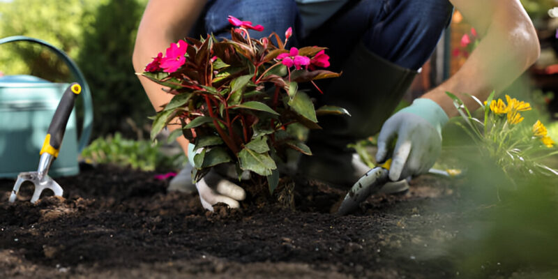 Spring yard cleanup as part of residential landscape design services