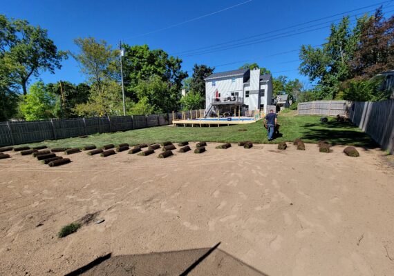 Freshly installed sod enhancing a yard with professional landscape design services