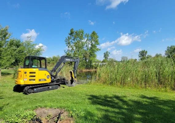 Professional pond clean up as part of landscape design services in Macomb