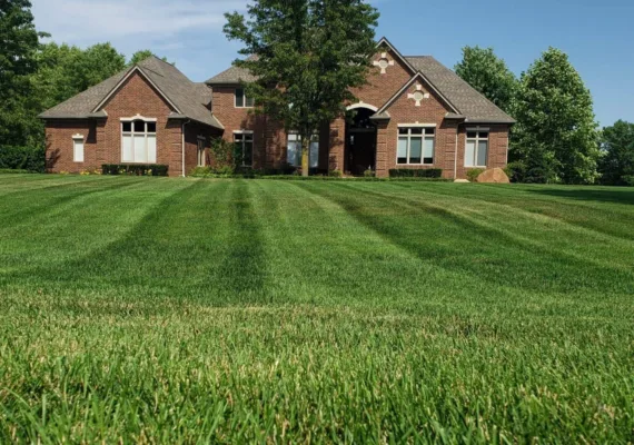 Best Landscaping Services in Macomb-backyard landscape design