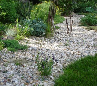 dry creek bed, garden, rocks