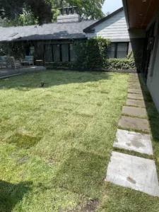 Lawn maintenance and care - Best Landscaping Services in Macomb