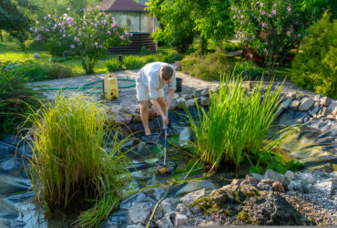 Affordable Pond Cleanup Services removing muck and algae from backyard pond