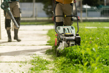 Lawn Mowing Services enhancing grass growth with professional mowing and care