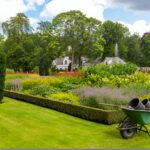 Residential Landscape Design Services creating stunning outdoor spaces and enhancing property value