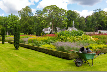 Residential Landscape Design Services creating stunning outdoor spaces and enhancing property value
