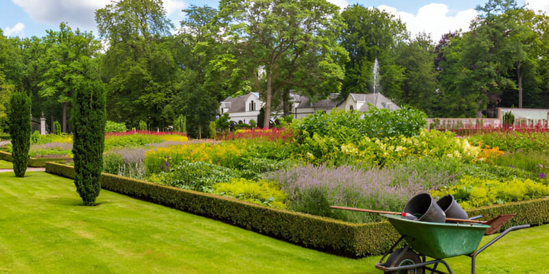 Residential Landscape Design Services creating stunning outdoor spaces and enhancing property value