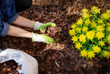 Mulch Installation Services Guide showing application of mulch in garden beds