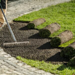 SOD Installation Services comparison — freshly installed sod vs. seeded lawn for instant green grass