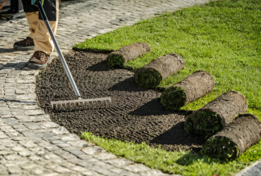 SOD Installation Services comparison — freshly installed sod vs. seeded lawn for instant green grass