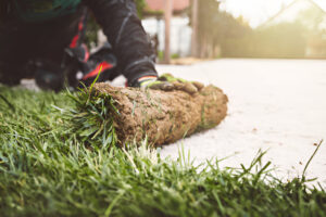 Residential yard transformation with SOD installation services