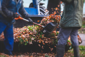 Leaf and debris removal during seasonal spring and fall cleanup service