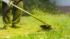 Tatrabuilt crew providing expert lawn mowing services in residential yard