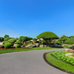 Beautiful backyard makeover by the Best Landscaping Services in Macomb