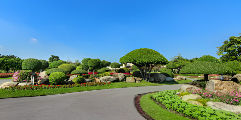 Residential Landscaping contractor