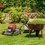 Time-saving lawn mowing services keeping backyard clean and green