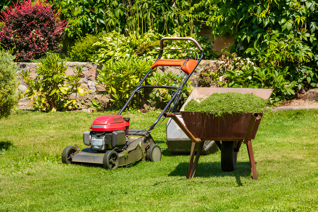 Time-saving lawn mowing services keeping backyard clean and green
